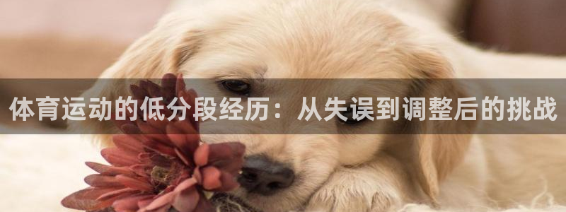 速播体育直播：体育运动的低分段经历：从失误到调整后的挑战