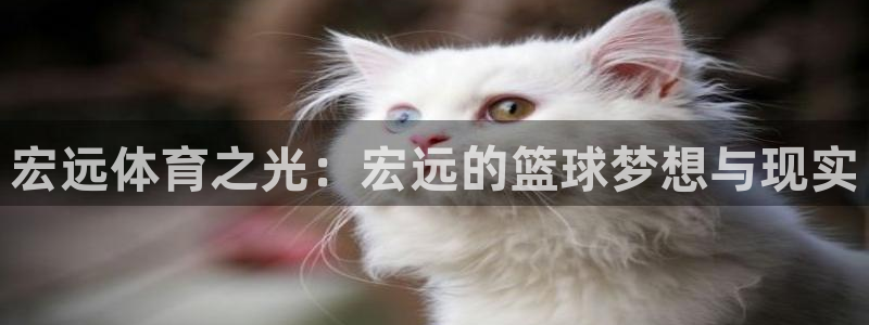 速播体育直播：宏远体育之光：宏远的篮球梦想与现实