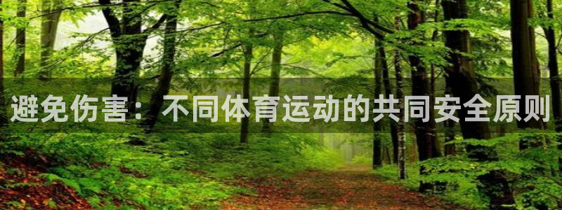 速播体育：避免伤害：不同体育运动的共同安全原则
