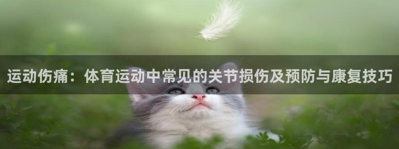 速播体育直播：运动伤痛：体育运动中常见的关节损伤及预防与康复技巧