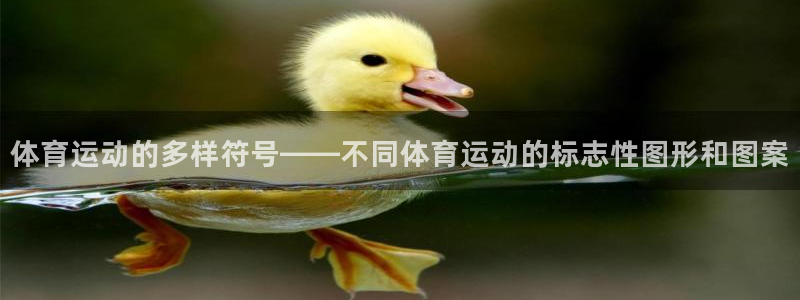 速播体育网：体育运动的多样符号——不同体育运动的标志性图形和图案