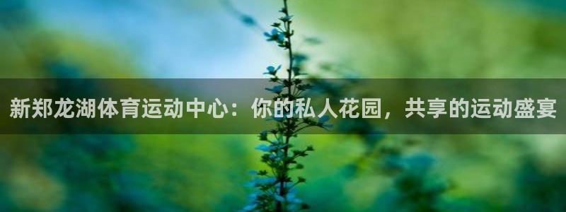 速播体育网：新郑龙湖体育运动中心：你的私人花园，共享的运动盛宴